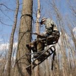 Climbing Tree Stand