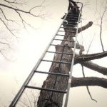 Ladder Tree Stands